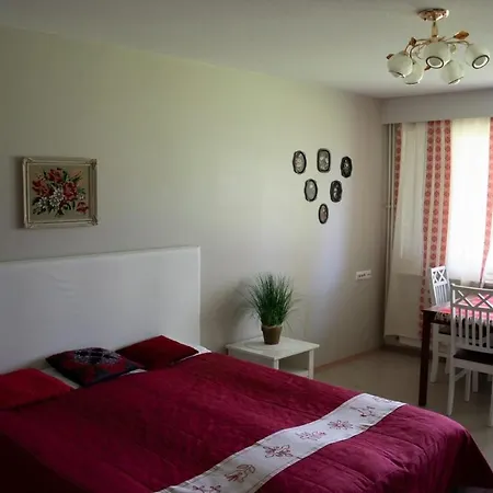 Majatalo Raja Mini-hôtel Onkamo (North Karelia)
